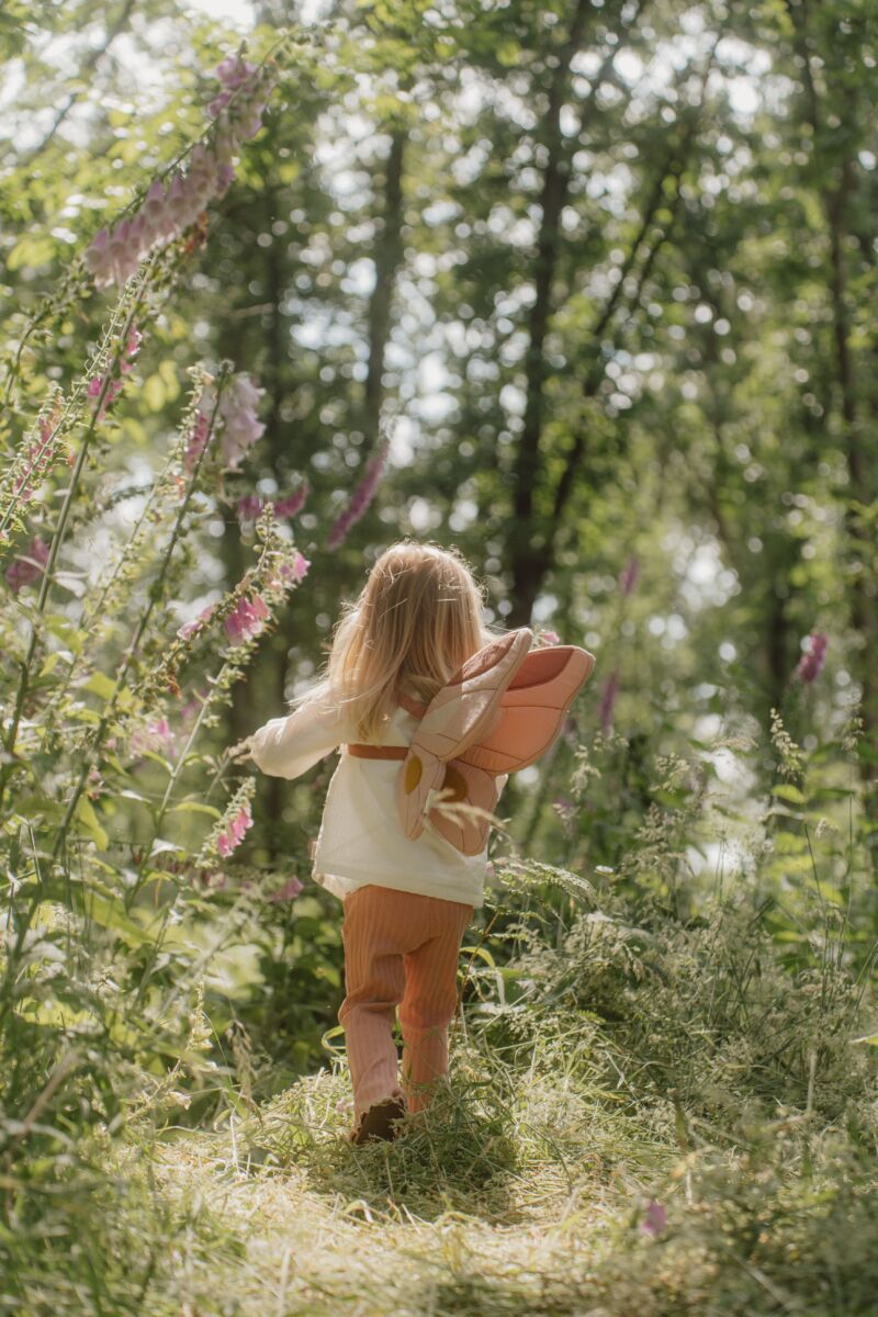 Little Dutch fėjos sparnai ir stebuklinga lazdelė „Fairy Garden“ - Image 5