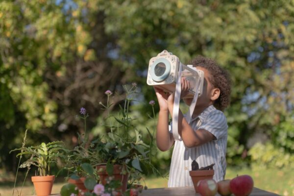 Little Dutch vabzdžių stebėjimo dėžutė „Forest Friends“ FSC - Image 2